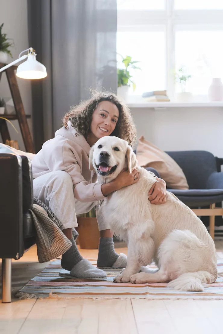 Documentation Audit and Compliance Cross-Check